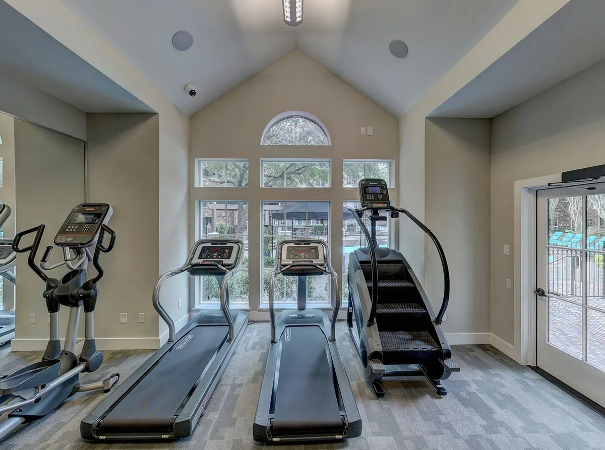 Air vs. Water vs. Magnetic Rowing Machines: Which Resistance Type Fits Your Home Gym?