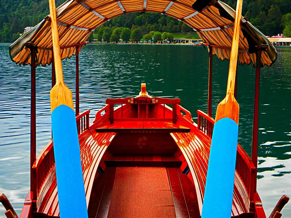 How to Choose Your First Pair of Rowing Oars: Blade Type, Length, and Grip